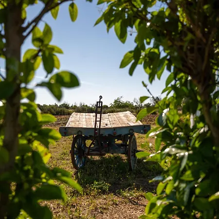 Bed & Breakfast Michela